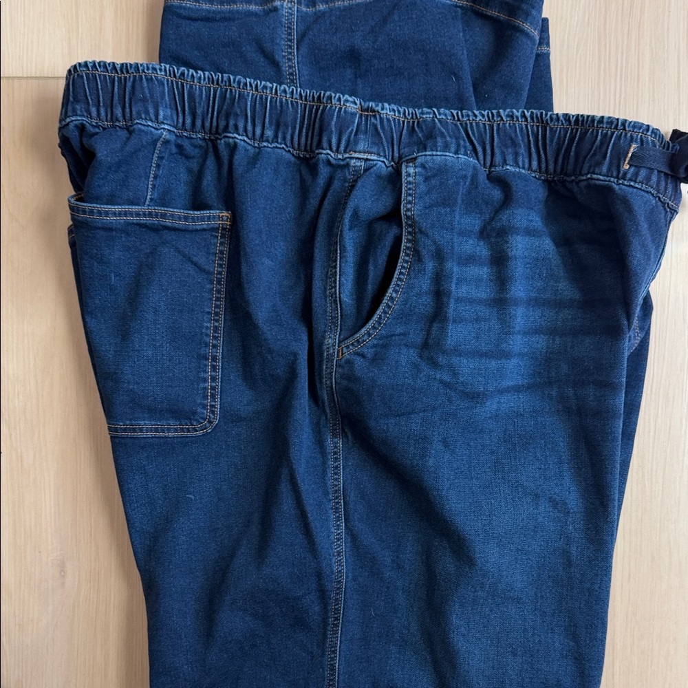 Lane Bryant Blue Women Jeans